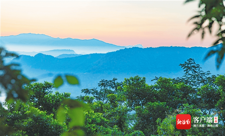 皇冠信用网代理登3_海南热带雨林国家公园有了“户口本”皇冠信用网代理登3!有啥用?看这里→