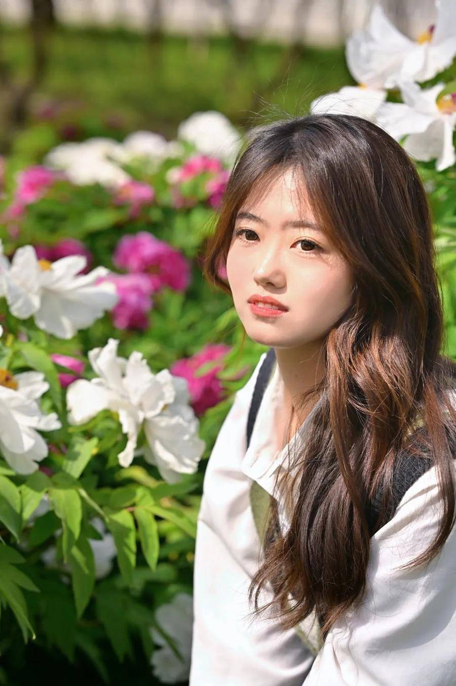 皇冠体育_@全体校友皇冠体育,齐鲁工业大学牡丹鉴赏通道开启!