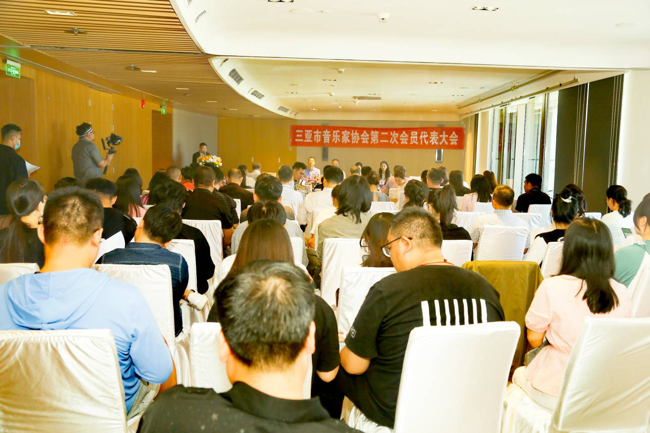 新2会员_三亚市音乐家协会召开第二次会员代表大会新2会员,曾丽君当选为新一任协会主席