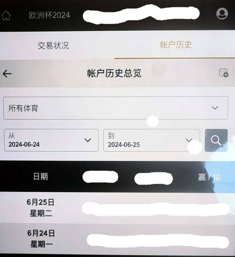 欧洲杯网站_北京警方:打掉3个欧洲杯期间利用境外网站组织赌球团伙