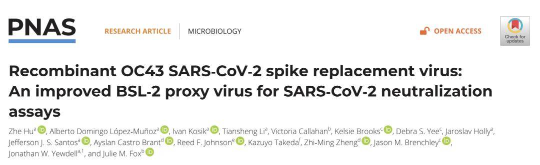 皇冠信用登2代理_【前沿进展】rOC43-CoV2 S:一种用于SARS-CoV-2中和试验的BSL-2代理病毒