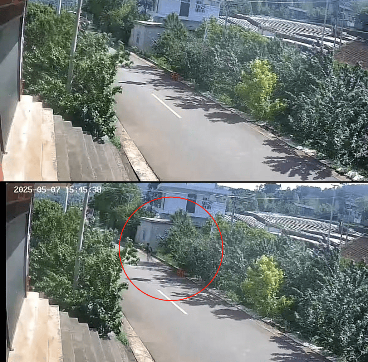 皇冠登3代理申请
_老人摘十斤樱桃摆路边被人顺走皇冠登3代理申请
,家属发布监控画面曝光:已报警,不要赔偿要态度