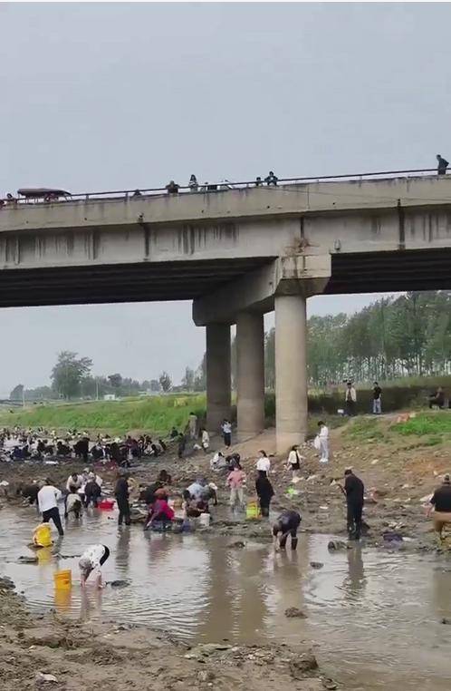 怎么开皇冠信用网
_河南浚县一处河道内众人捞金?当地辟谣:捞的是花甲怎么开皇冠信用网
,已劝离捕捞客