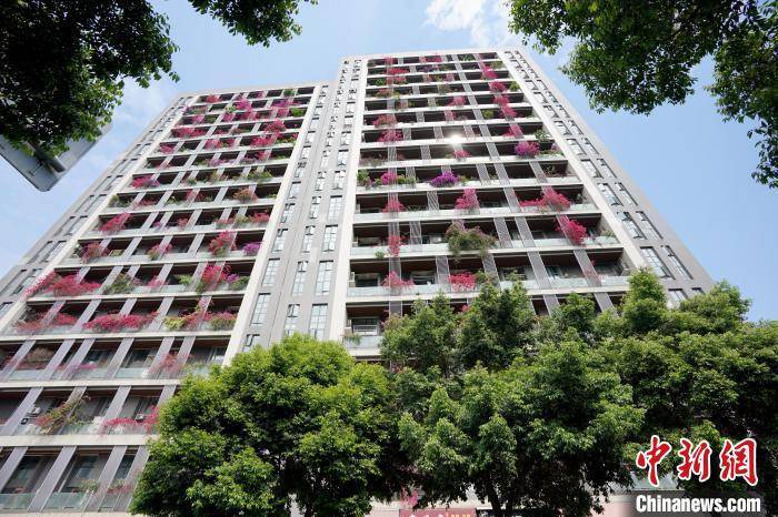 皇冠信用网哪里申请
_成都一栋30层高居民楼被三角梅扮靓