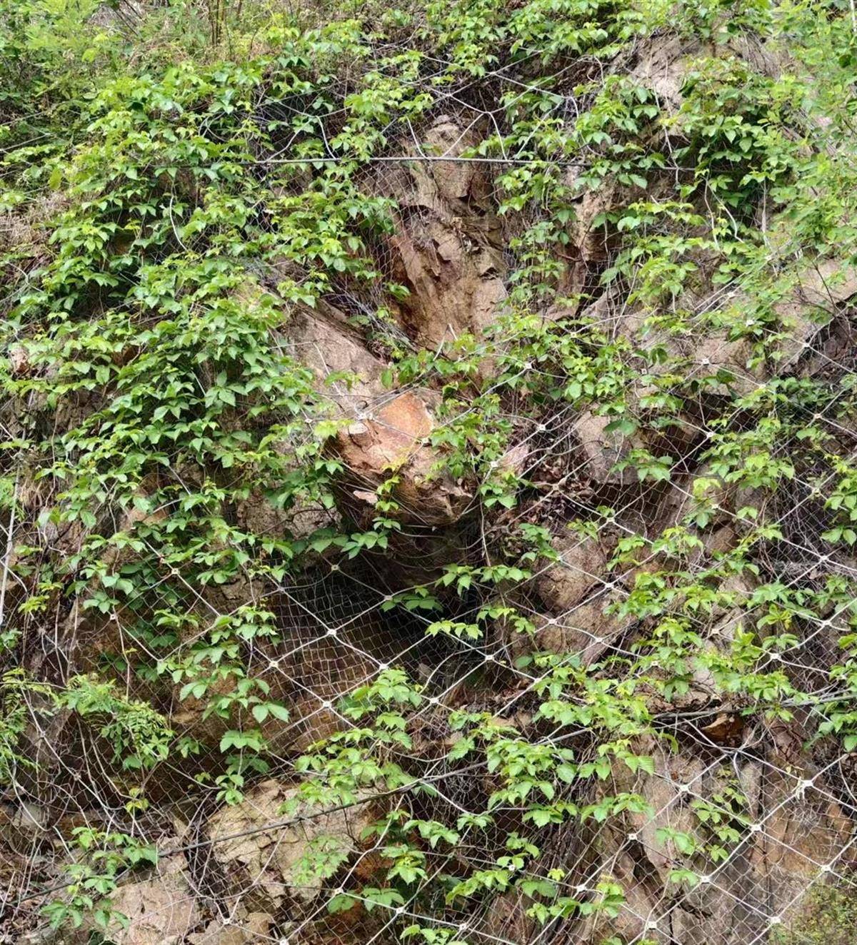 皇冠信用网怎么注册
_洛阳一家四口返家途中私家车被山体落石砸中皇冠信用网怎么注册
,36岁父亲当场遇难,当地政府已成立工作专班