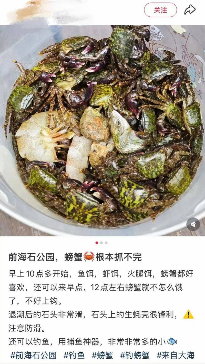 皇冠登3代理申请
_“根本抓不完”皇冠登3代理申请
!很多人扎堆去!深圳网红公园紧急提醒