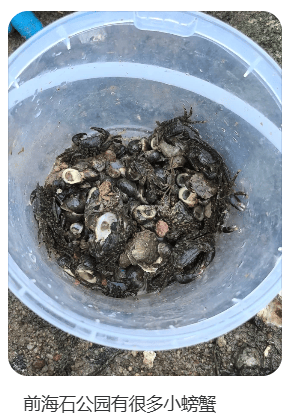 皇冠登3代理申请
_“根本抓不完”皇冠登3代理申请
!很多人扎堆去!深圳网红公园紧急提醒