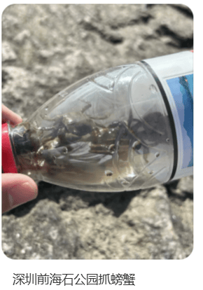 皇冠登3代理申请
_“根本抓不完”皇冠登3代理申请
!很多人扎堆去!深圳网红公园紧急提醒