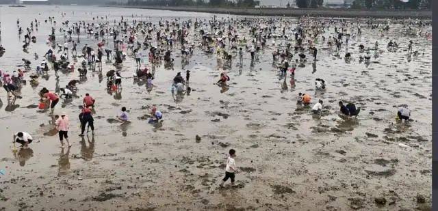 皇冠登3代理申请
_“根本抓不完”皇冠登3代理申请
!很多人扎堆去!深圳网红公园紧急提醒