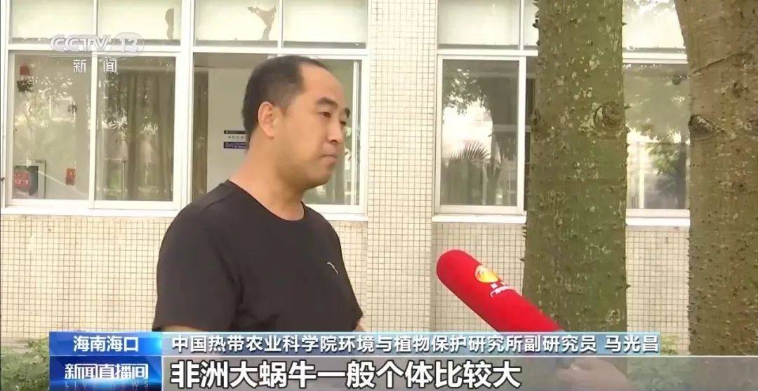 信用網怎么开户
_别碰!别吃!别养!一只就携带100条虫信用網怎么开户
,看到赶紧远离