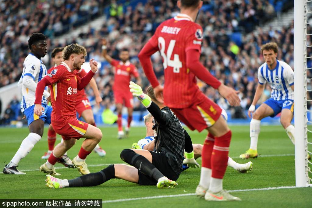 皇冠信用網平台出租
_英超-埃利奥特传射三苫薰破门 索博世界波利物浦2-3布莱顿