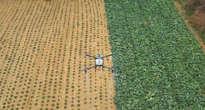 皇冠信用网庄家
_【理响中国·春江水暖鸭先知】一架“无人机”飞出低空新天地