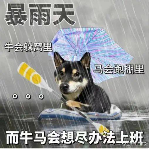 皇冠信用网出租
_暴雨!大暴雨!深圳开启“集中倒水”模式皇冠信用网出租
,广东或有5波……