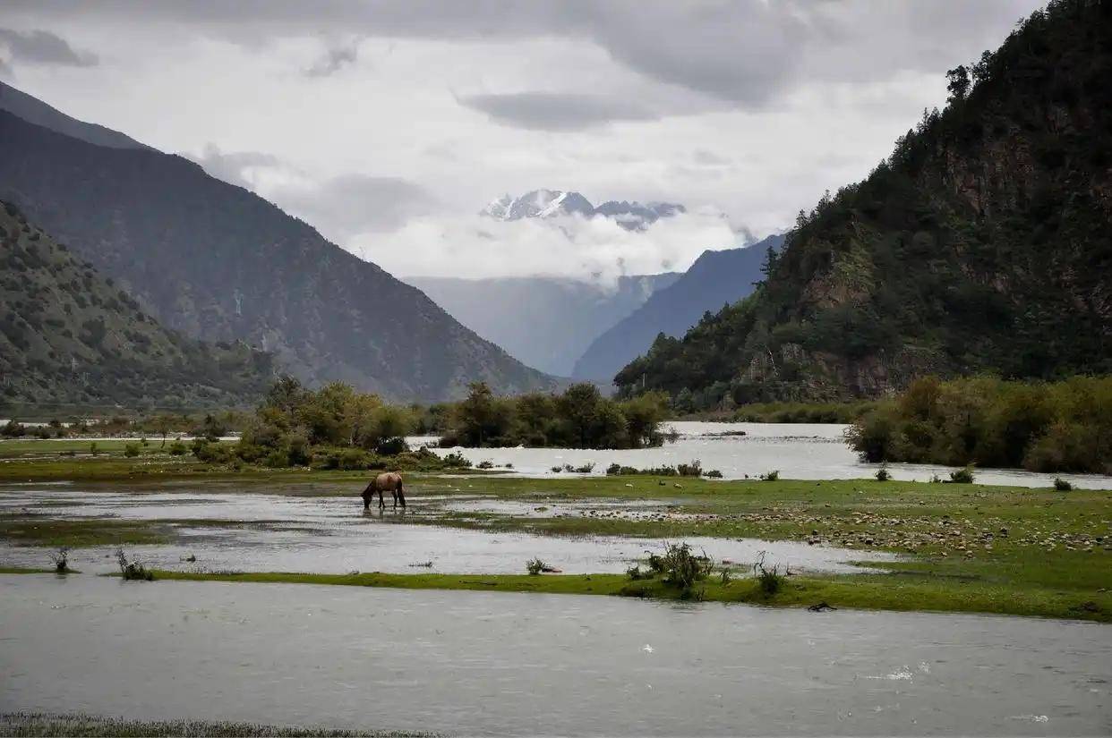 皇冠信用網代理怎么申请
_莫迪开始算账了皇冠信用網代理怎么申请
,印度反对中国宣示藏南主权,中方回应十分霸气!