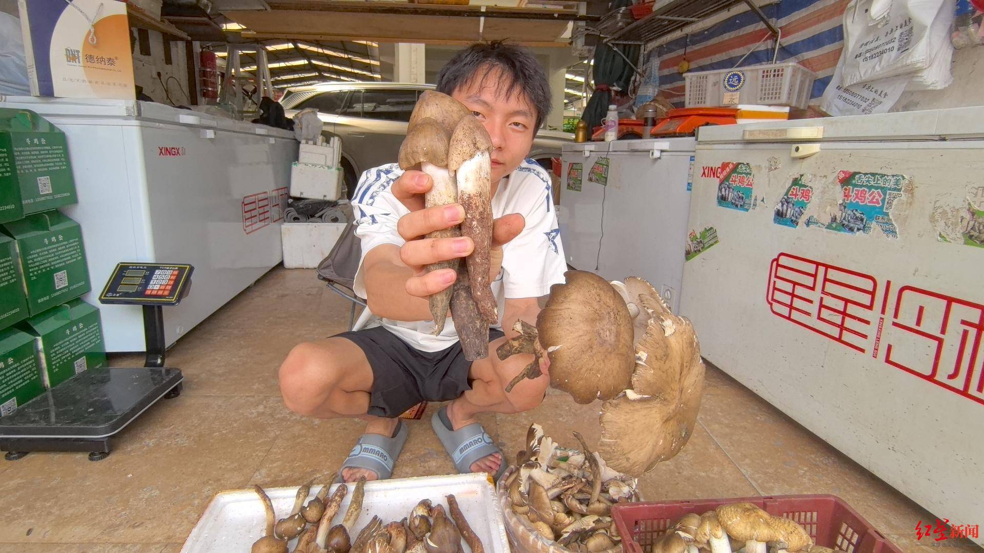 信用平台出租
_“天价”鸡枞调查:最贵卖到1800元/公斤!雨水少致产量低信用平台出租
,多地价高客少