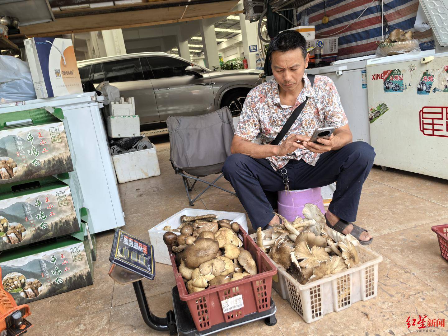 信用平台出租
_“天价”鸡枞调查:最贵卖到1800元/公斤!雨水少致产量低信用平台出租
,多地价高客少