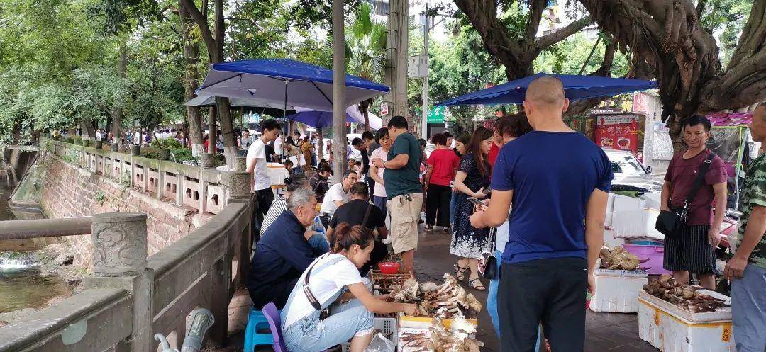 信用平台出租
_“天价”鸡枞调查:最贵卖到1800元/公斤!雨水少致产量低信用平台出租
,多地价高客少