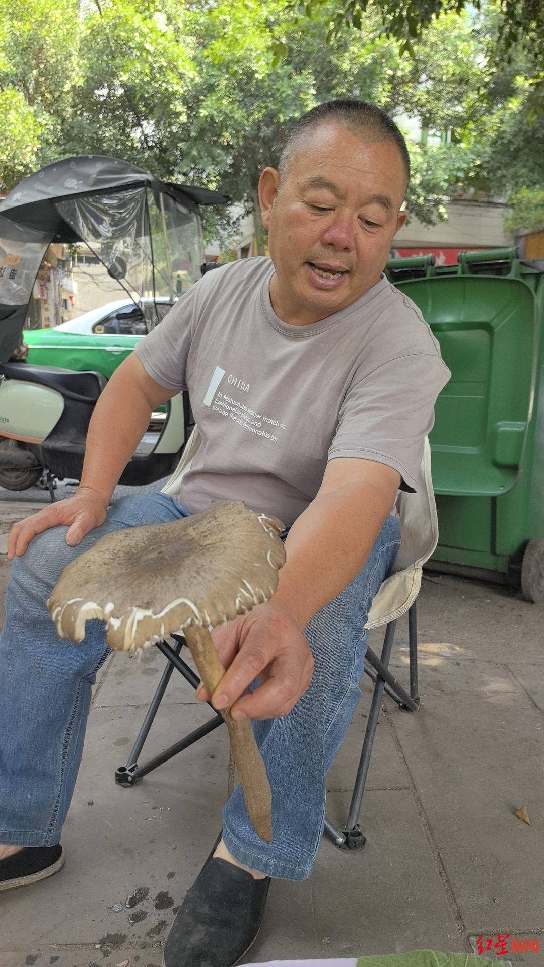 信用平台出租
_“天价”鸡枞调查:最贵卖到1800元/公斤!雨水少致产量低信用平台出租
,多地价高客少