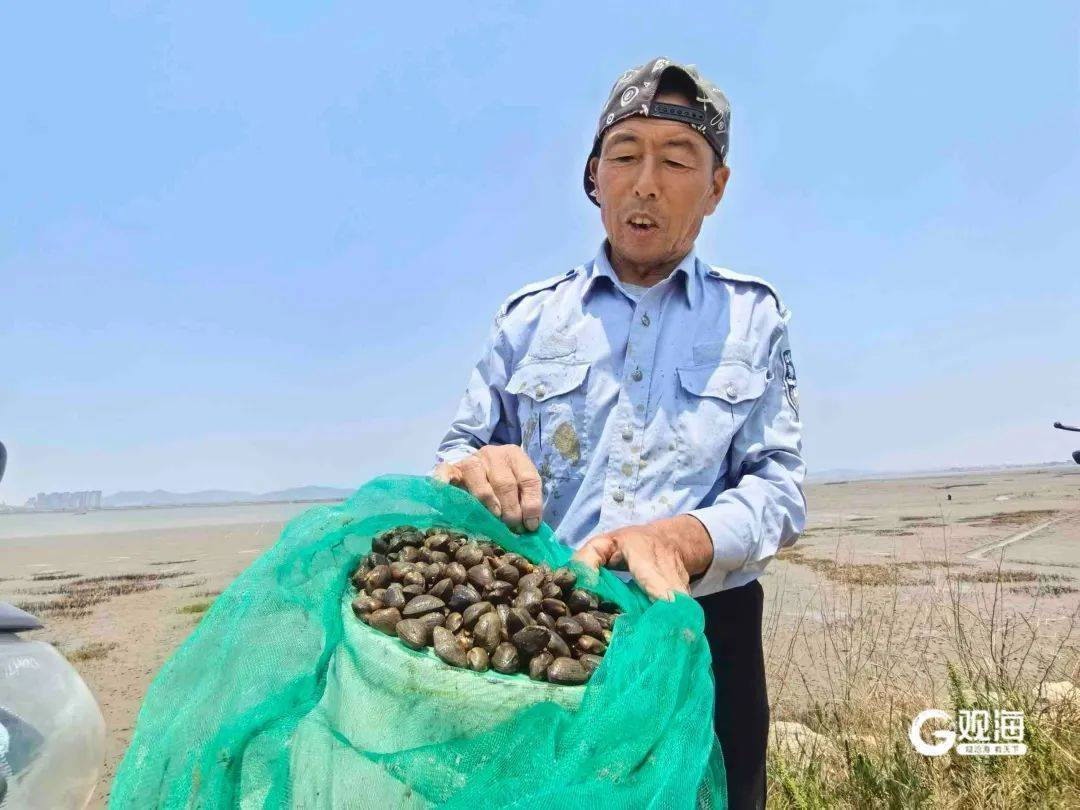 皇冠信用网押金多少
_正是肥的时候!每天上万斤在青岛这里上岸皇冠信用网押金多少
,很多人爱吃......