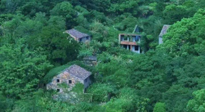 皇冠信用网如何注册
_急!浙江00后姑娘在海边废弃村庄失联超4天皇冠信用网如何注册
,出发前曾查阅“蓝眼泪”信息