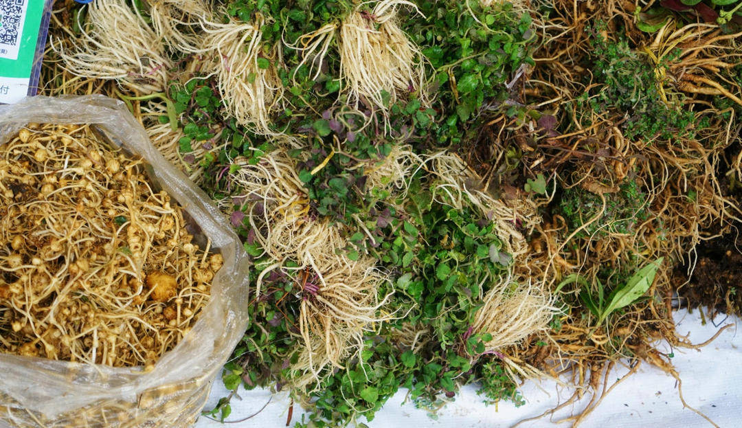 皇冠信用盘怎么开通
_端午药市摆皇冠信用盘怎么开通
了3公里 四川德昌2025年端午民俗文化寻味活动启幕