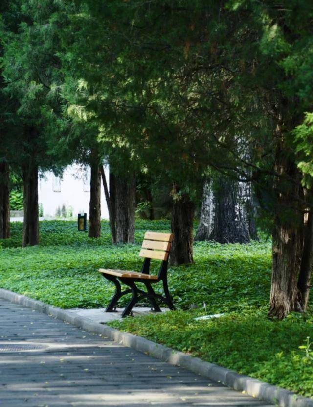 皇冠信用网足球代理
_最便宜收费公园?北京一公园门票仅0.2元皇冠信用网足球代理
,季票价3元