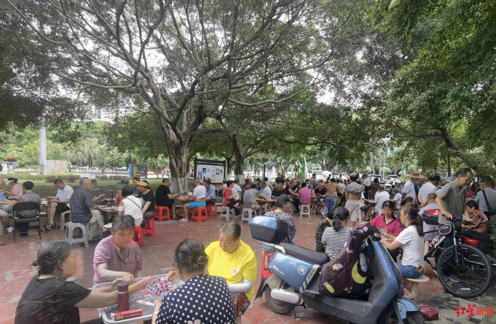 皇冠会员如何申请
_天降大蛇吓坏树下打牌阿姨皇冠会员如何申请
,“硬核”大爷徒手逮蛇抡摔 专家:不建议这样处理