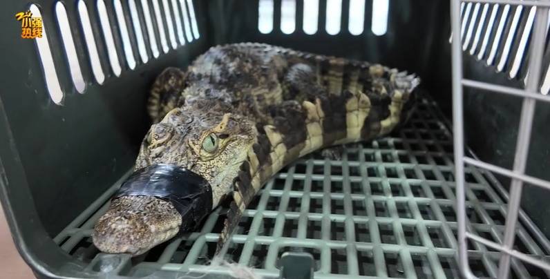 皇冠信用網登2代理
_吓一大跳皇冠信用網登2代理
!浙江一男子钓鱼竟然钓到了…异常凶猛!