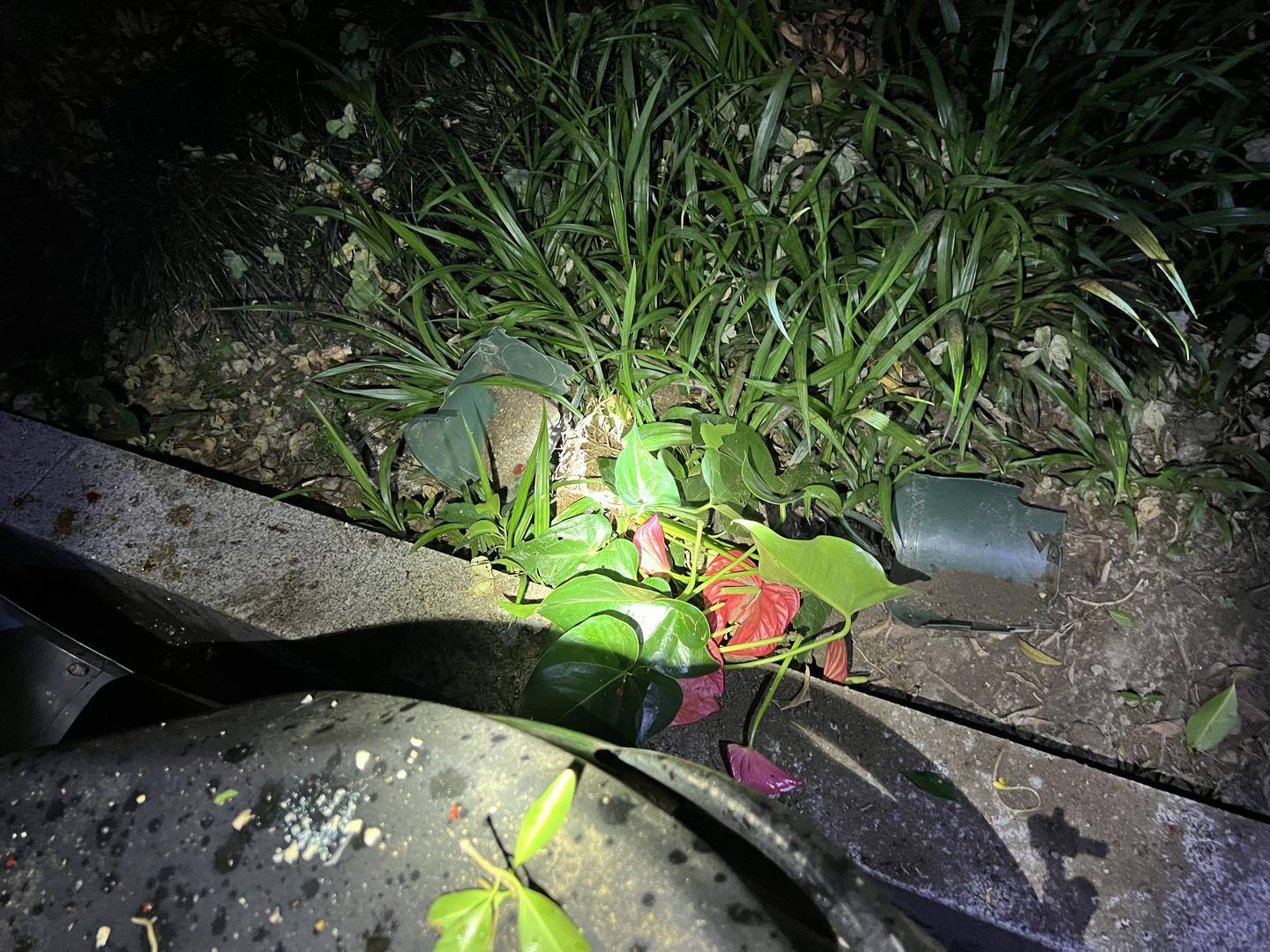 怎么开皇冠信用盘
_男子与朋友吃酒起争执怎么开皇冠信用盘
,竟从10楼扔下绿萝、兰花和不锈钢盆,被刑拘