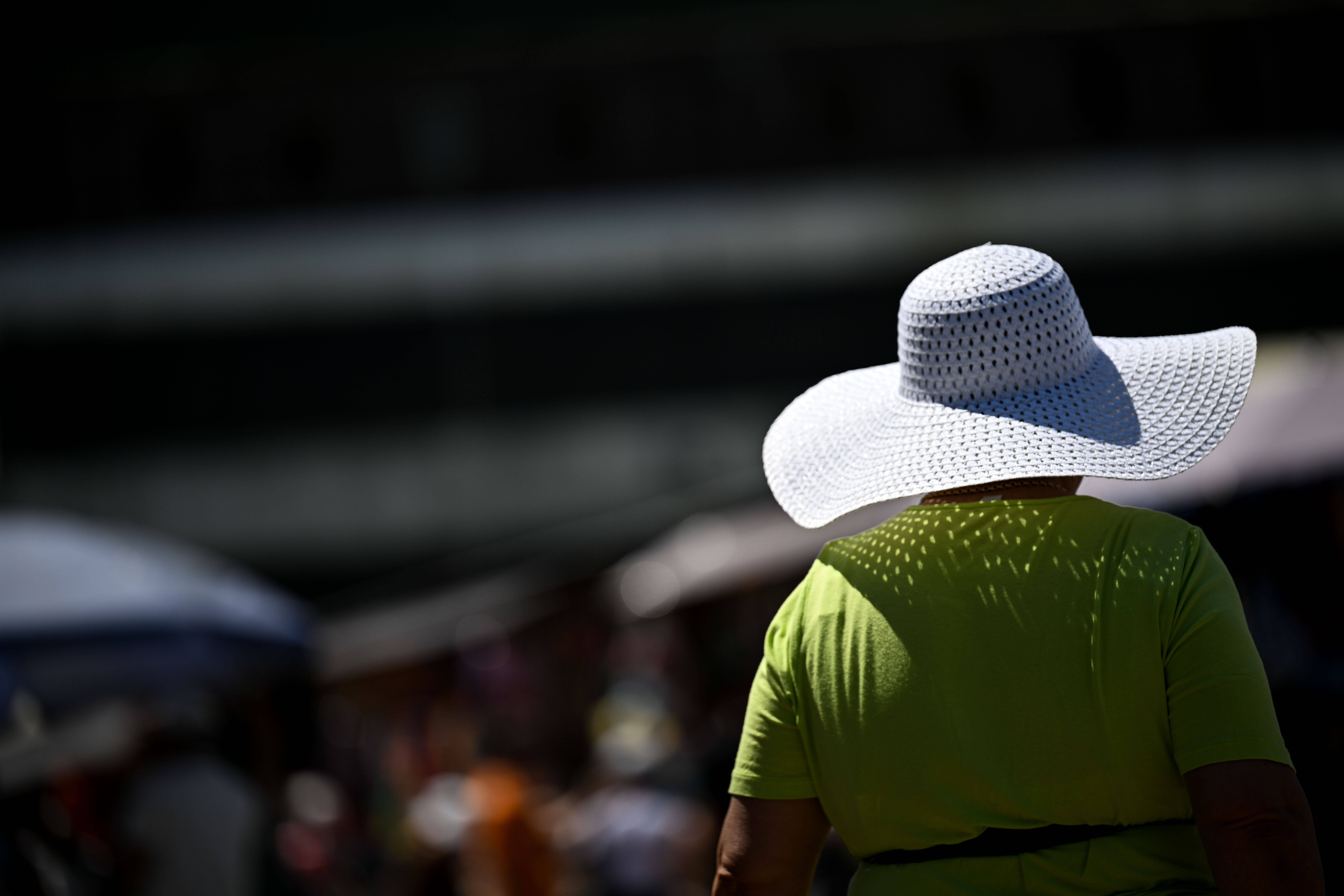 皇冠公司的代理怎么拿_哈萨克斯坦阿拉木图迎来高温天气