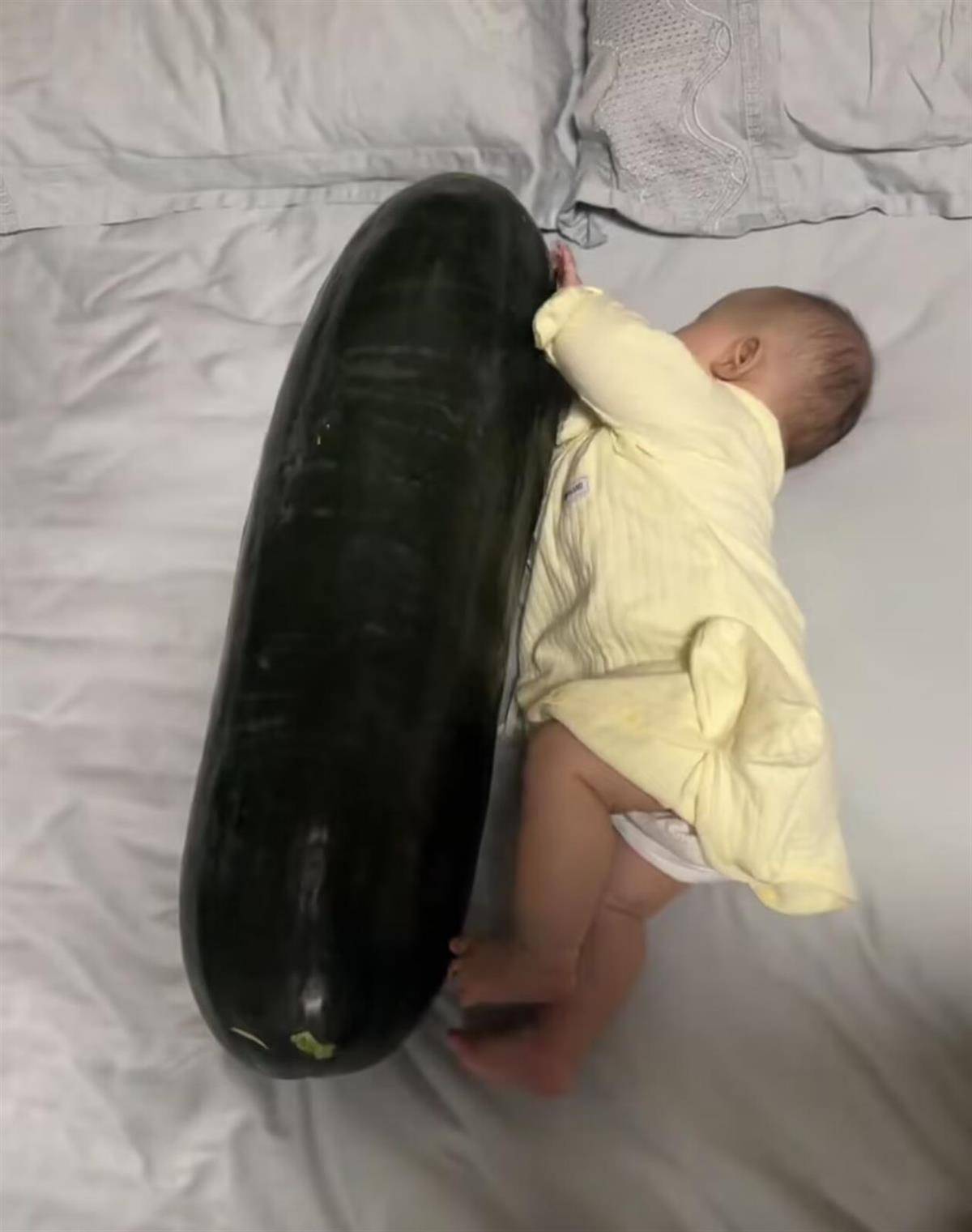 如何注册皇冠足球代理_男子在深圳购买28斤重的冬瓜带回香港如何注册皇冠足球代理,给3个月大的女儿当避暑玩具