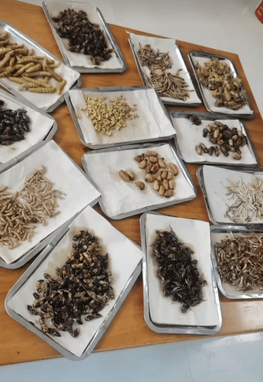 皇冠信用网最新地址
_一小饭店老板随手拍视频竟成“违法广告”皇冠信用网最新地址
,45万元“天价处罚”引争议