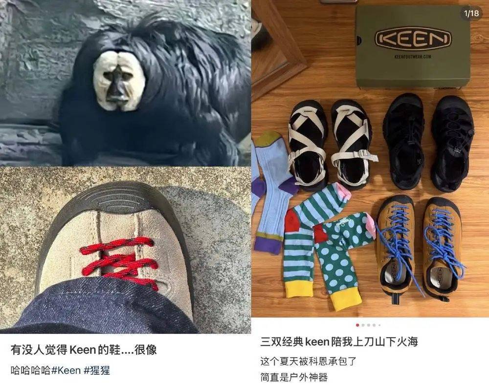 皇冠皇冠信用网平台
_年轻人正在用丑鞋踹翻全世界