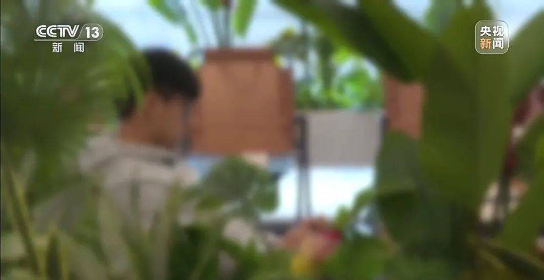 足球平台出租网
_细节披露!18岁高中生被骗至缅甸:不听话白天暴晒晚上挨打足球平台出租网
,被迫去搞网恋诈骗