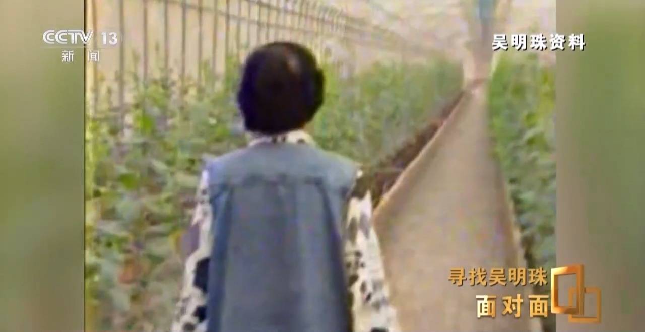 皇冠信用网出租足球
_面对面丨中国人的吃瓜自由要感谢她皇冠信用网出租足球
!吴明珠说她的一生就是结几个好瓜献给人民