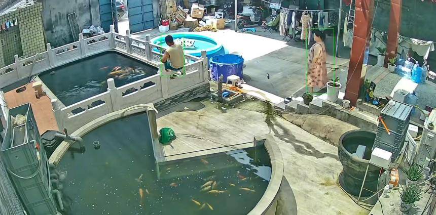 怎么申请皇冠信用网
_新乡一男子喂鱼忘送娃上课被妻子踹进鱼池:妻子怀孕脾气有时候控制不住怎么申请皇冠信用网
,互相道了歉