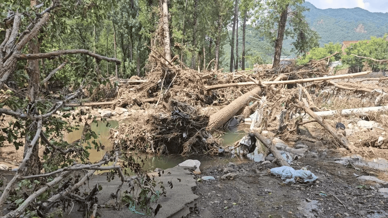 皇冠信用网登3
_洪灾后的河北承德兴隆县 民宿、板栗和山楂如何恢复生机皇冠信用网登3
?