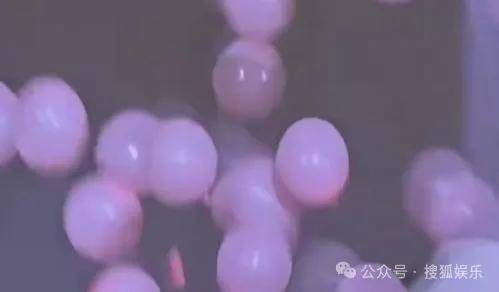 皇冠信用網会员开户
_调侃“接受不了生女儿”被骂好几天皇冠信用網会员开户
,他自曝差点因此家庭破裂......