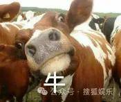 皇冠信用網会员开户
_调侃“接受不了生女儿”被骂好几天皇冠信用網会员开户
,他自曝差点因此家庭破裂......