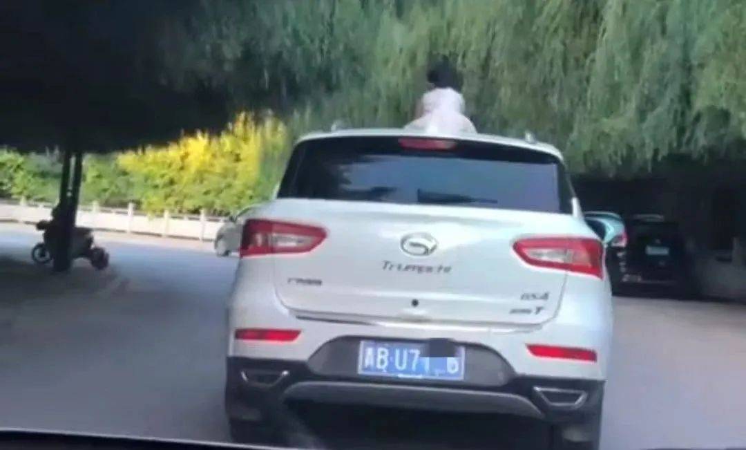 皇冠信用盘申请开通
_惊险皇冠信用盘申请开通
!青海一女童竟端坐在行驶中的轿车车顶!