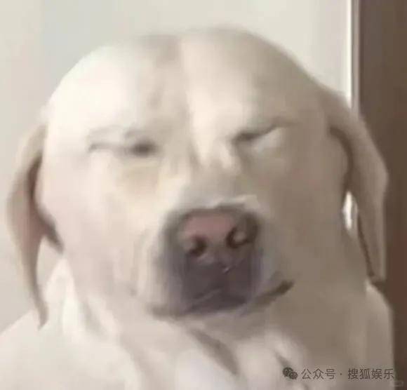 皇冠信用开号
_离婚三年又被拍到亲密逛超市皇冠信用开号
,他俩这是纯带娃还是真复合了?