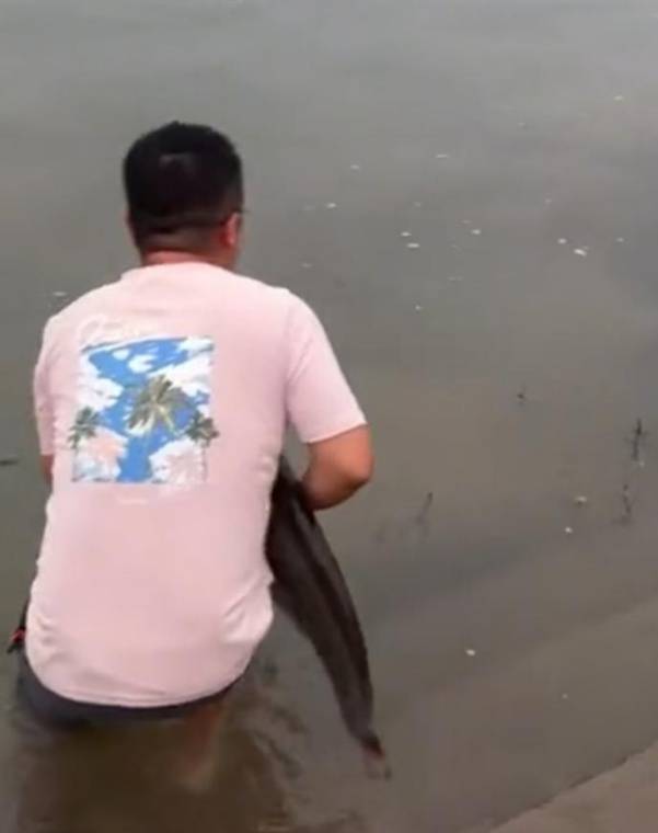 足球平台出租代理
_四川一男子钓1米长大鱼后放生足球平台出租代理
，围观者高呼“卖给我”，回应：钓鱼是为娱乐