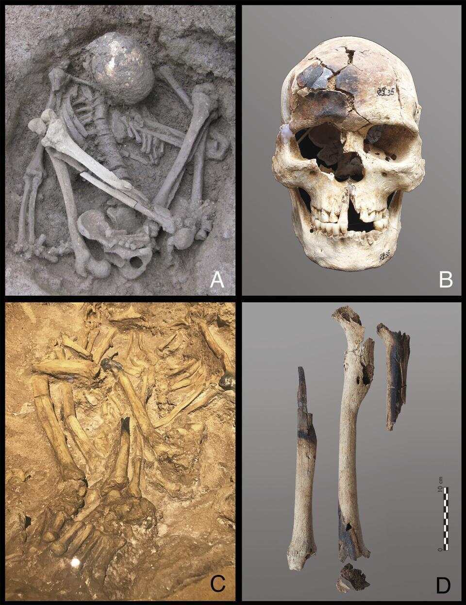皇冠信用网出租足球_东南亚惊现1.2万年前木乃伊皇冠信用网出租足球,或是世界上已知最古老木乃伊;此前,埃及木乃伊广为人知