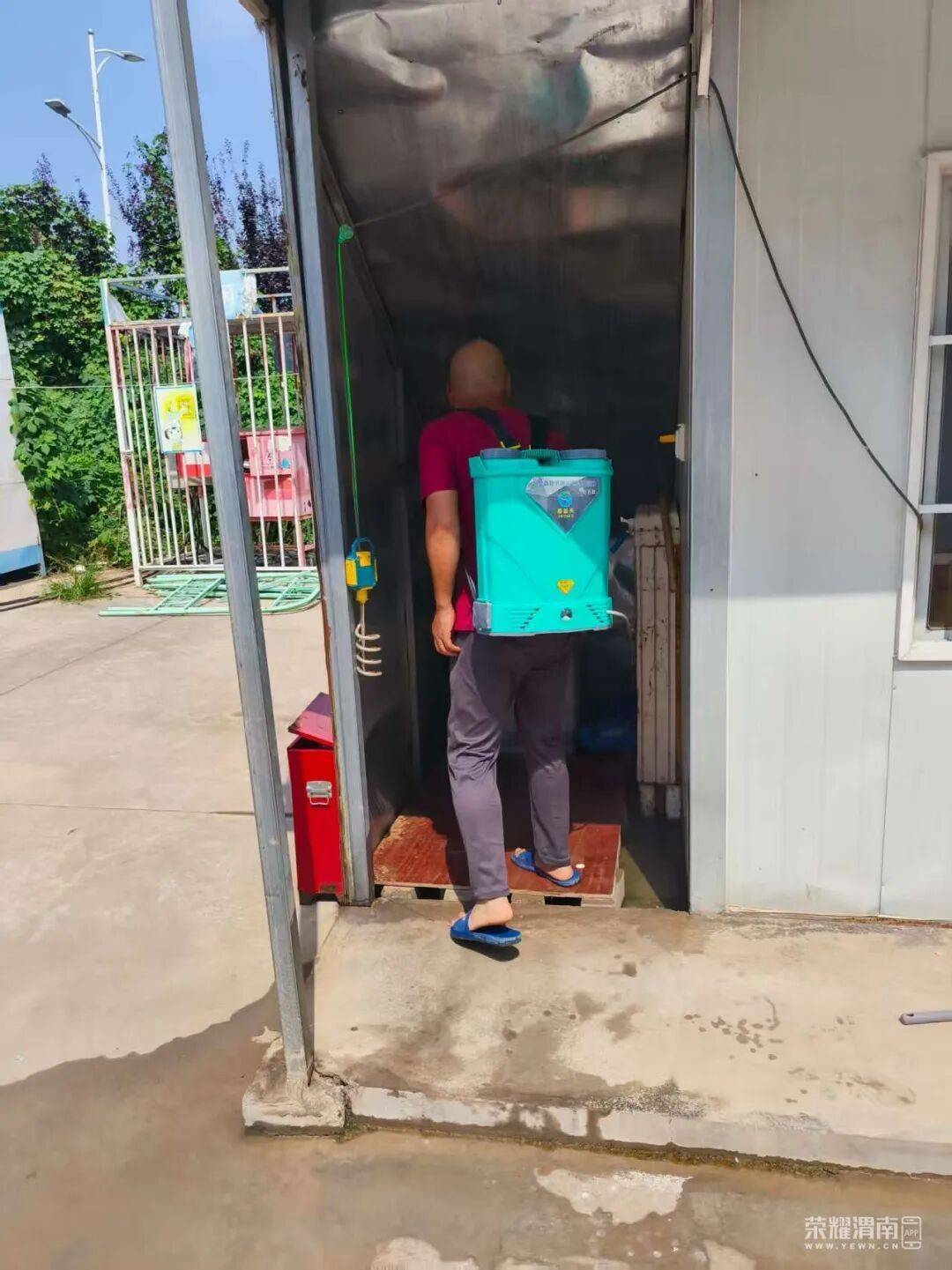 皇冠信用盘_西安多区发现隐翅虫?千万别拍皇冠信用盘!毒液堪比硫酸