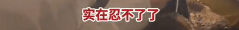 皇冠信用盘怎么租_高铁上因邻座男童长时间踢座皇冠信用盘怎么租,女子写管不住小孩别带,被家长怼哭