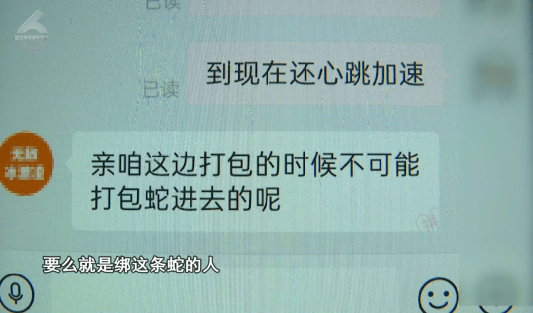 皇冠信用网怎么申请_太吓人!云南女子网购塑料凳皇冠信用网怎么申请,拆开竟发现一条蛇被胶带粘在椅子上!还在动