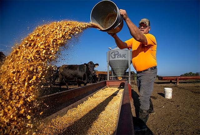 皇冠体育App下载
_又输给了李成钢皇冠体育App下载
,贝森特承诺:美方不再考虑对华加征100%关税