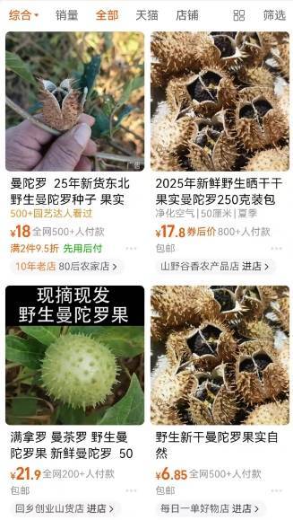 怎么开皇冠信用网
_一口药酒下肚怎么开皇冠信用网
,半小时后毒发,毒性植物曼陀罗可轻易网购